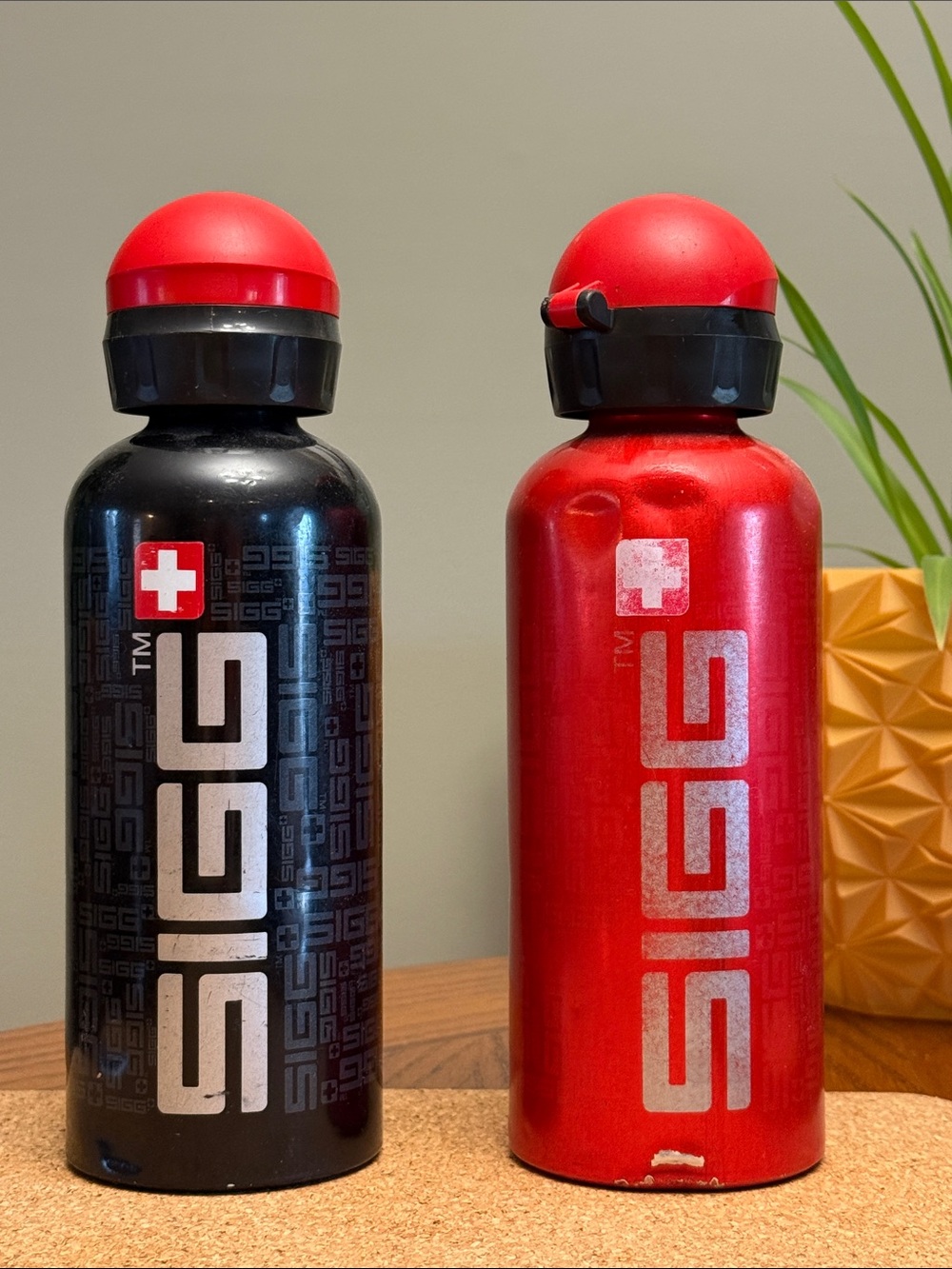 Swiss Sigg Aluminum Water Bottle Durable Travel Drinkware SIGG Siggnature LOT